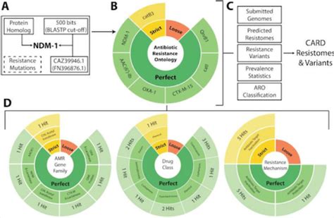 the comprehensive antibiotic resistance database